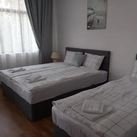 мускат 2 Aheloy