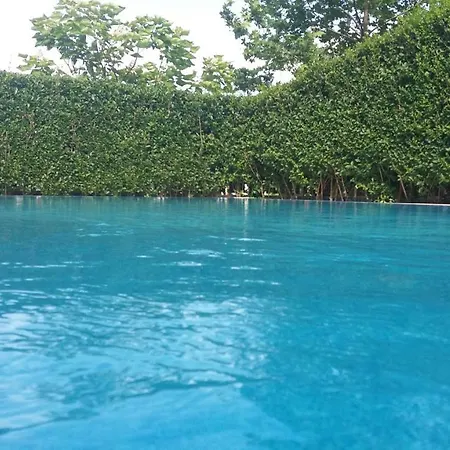 мускат 2 Guest house 4*